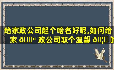 给家政公司起个啥名好呢,如何给家 🐺 政公司取个温馨 🦈 的名字
